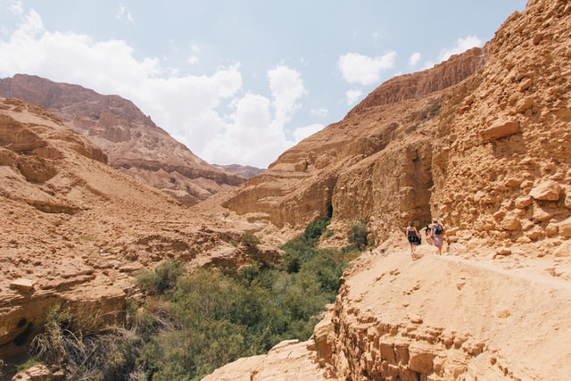  Oasis Dead Sea Afbeelding