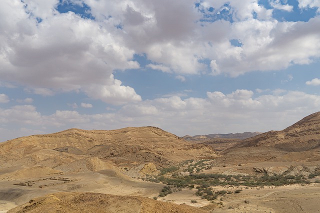 The Daniel Dead Sea