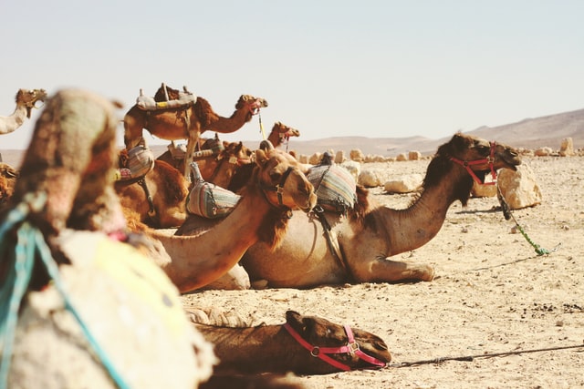 15 daagse Israel op wielen 3 7